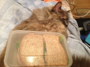 A useful sandwich tray, but it complains when you cover it in crumbs...